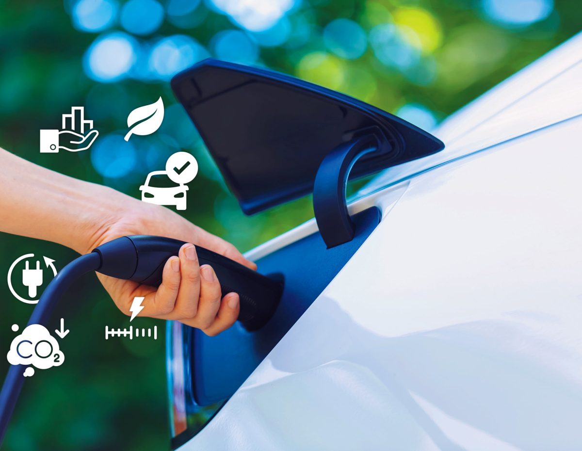 achat borne recharge installateur vs en ligne